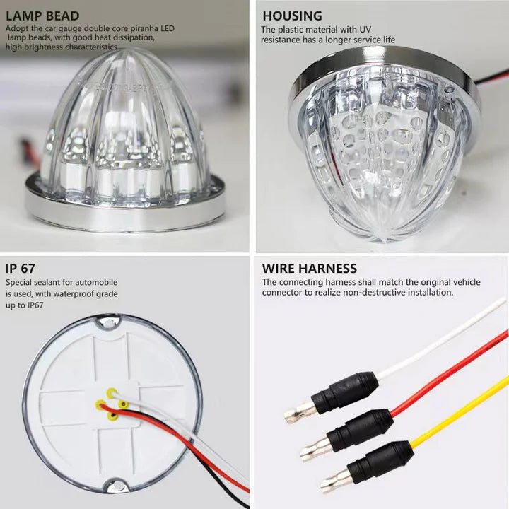 Starlight Series Watermelon Lights (Single Colour LED)