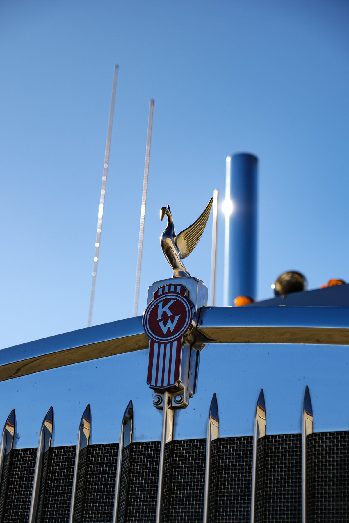 CHROME SWAN HOOD ORNAMENT